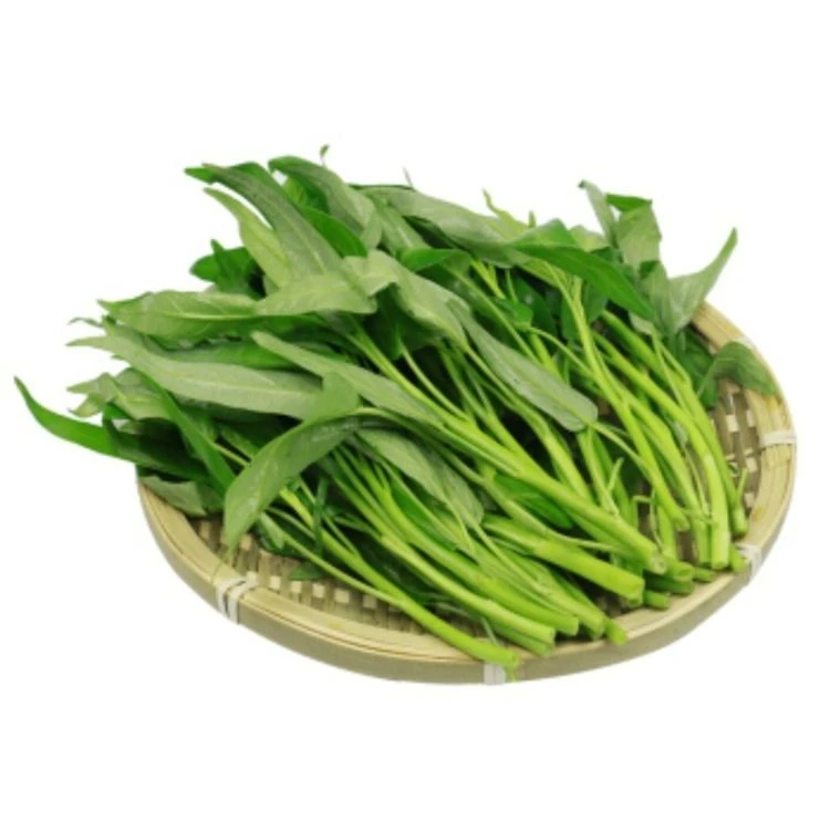 空心菜/新鲜上市250g