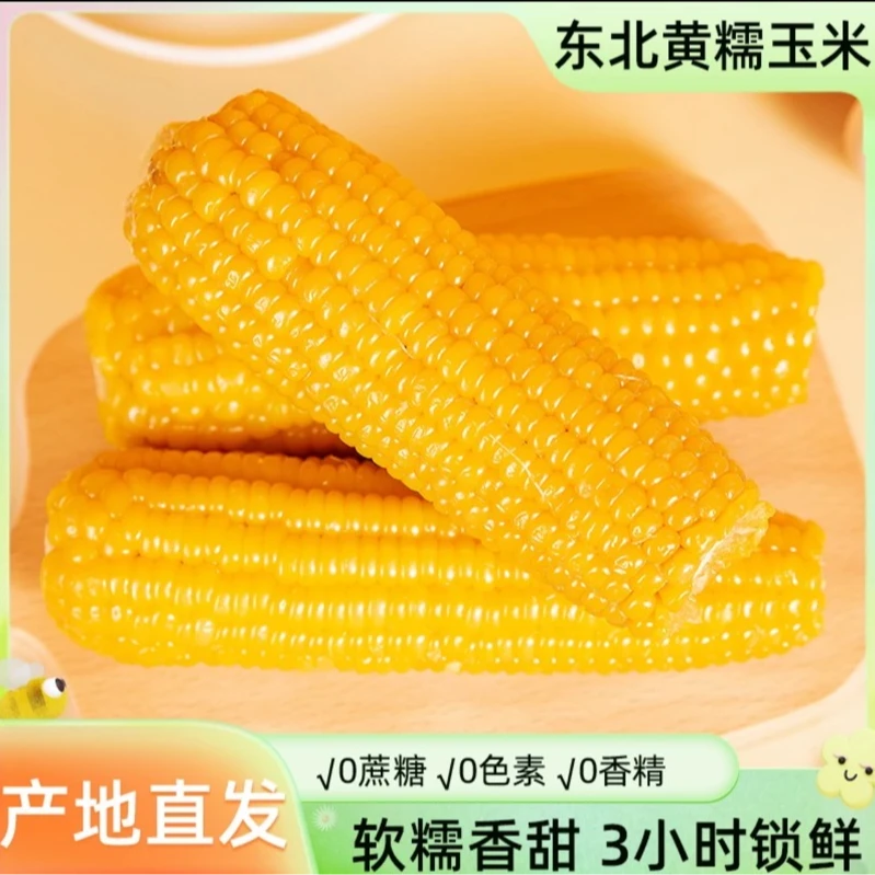 2支试吃尝鲜24年新黄糯玉米香甜软糯整箱14支6斤装
