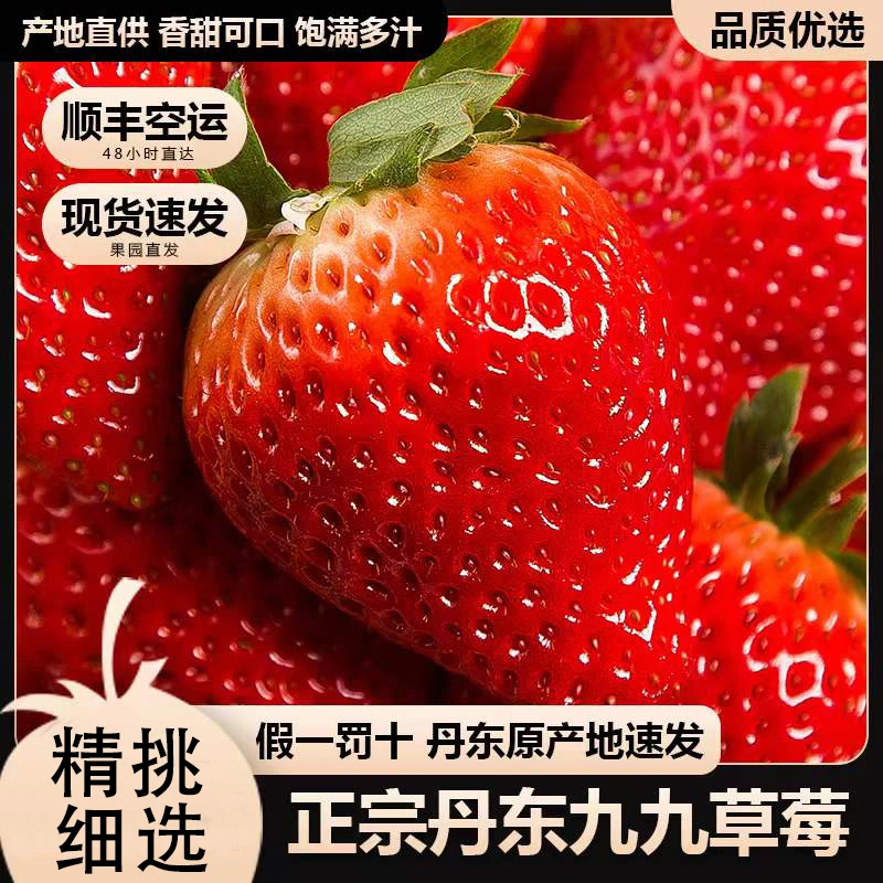 【顺丰包邮】正宗丹东99草莓新鲜水果红颜牛奶奶油九九大草莓孕妇果