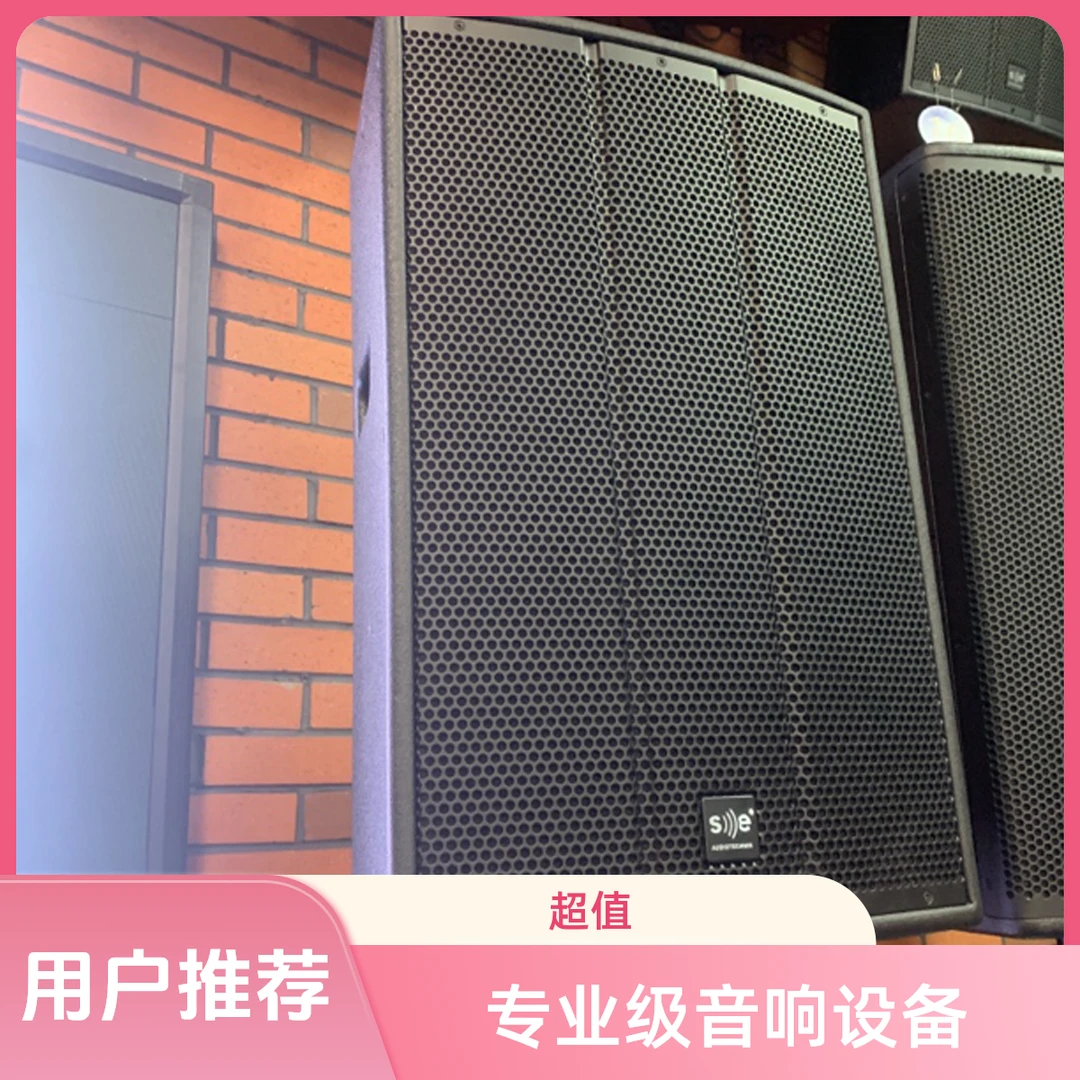德国SE音响订金 非音响全款价格专业级演出音箱
