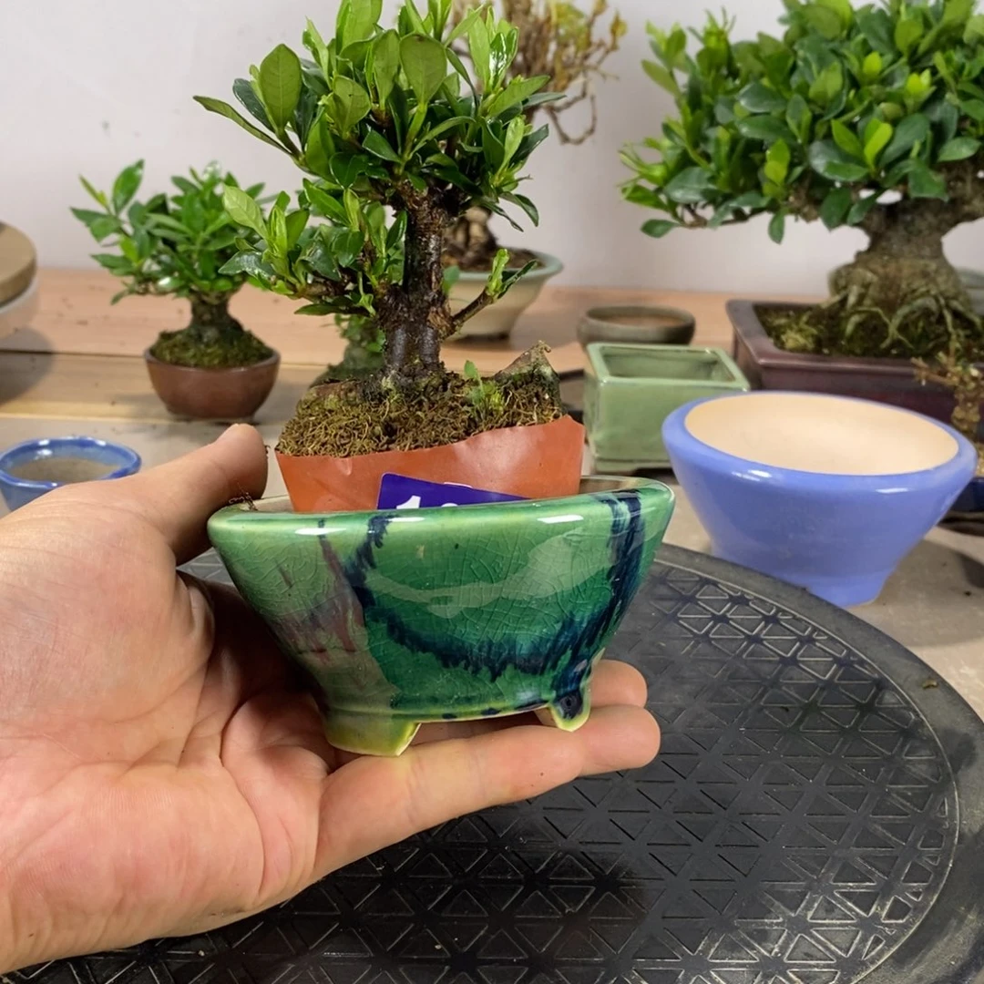 红陶300CM及以上天****人盆