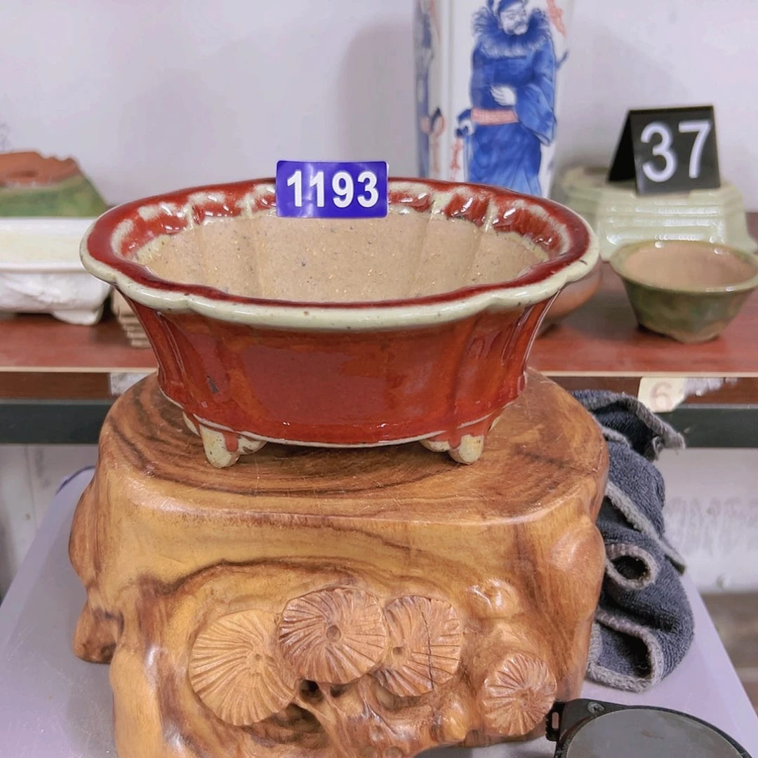 红陶20CM（含）-50CM（不含）威*风1193