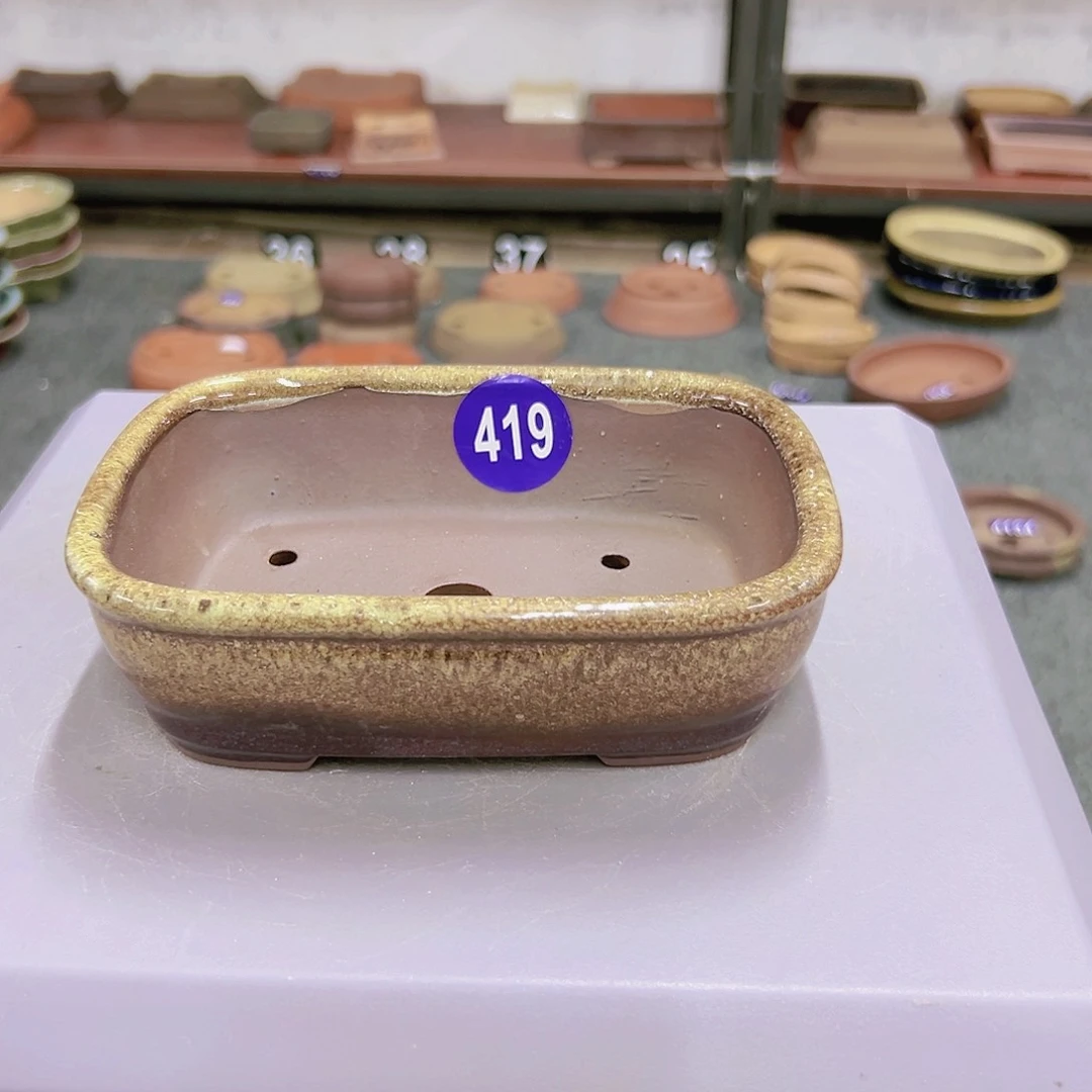 红陶20CM（含）-50CM（不含）滨419