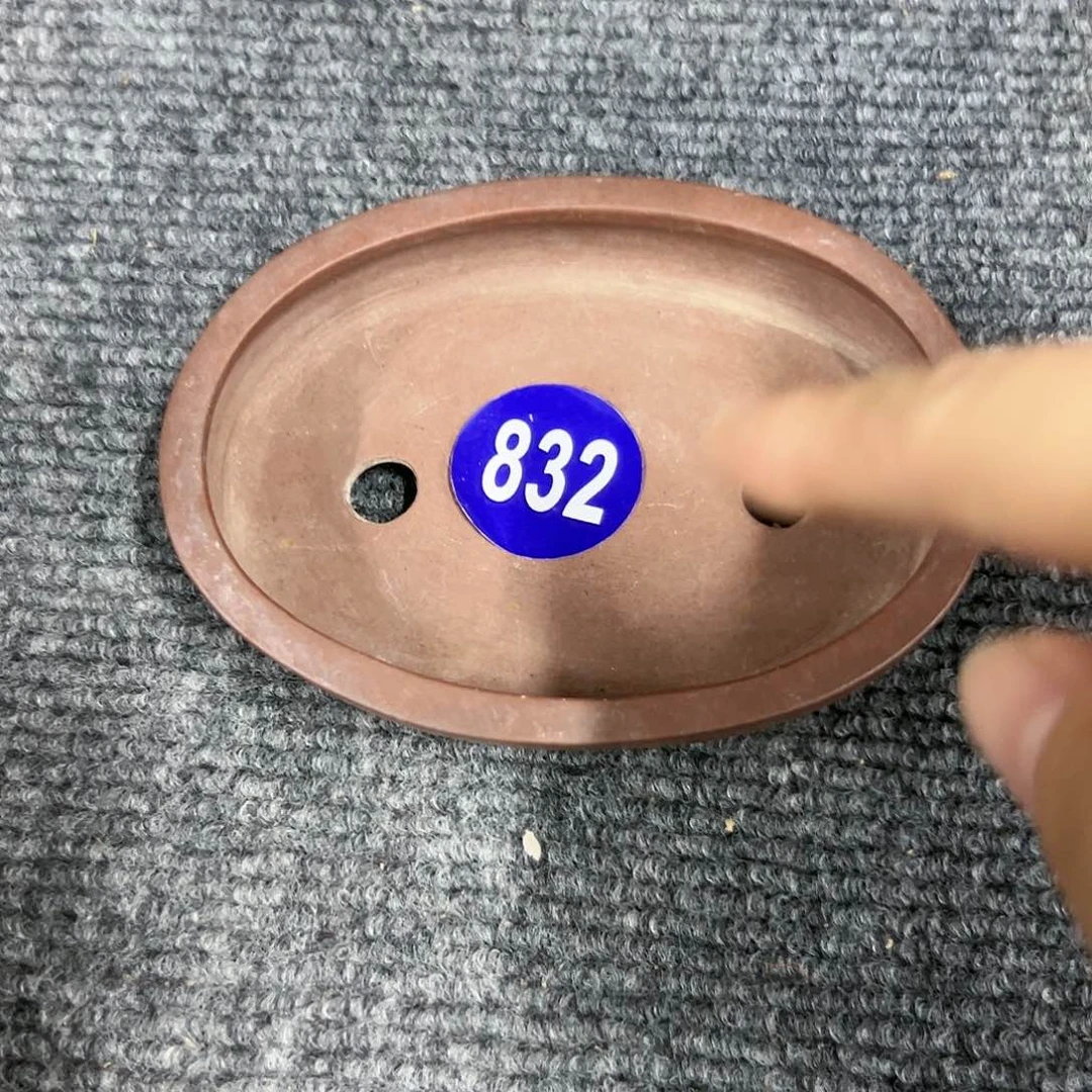 红陶20CM（含）-50CM（不含）S**y832