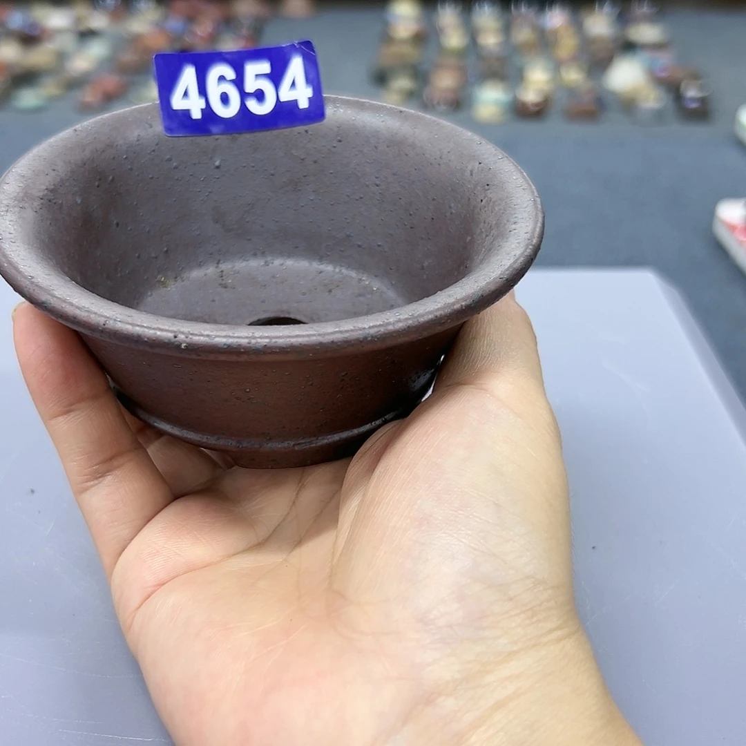 红陶20CM（含）-50CM（不含）丰**业4654