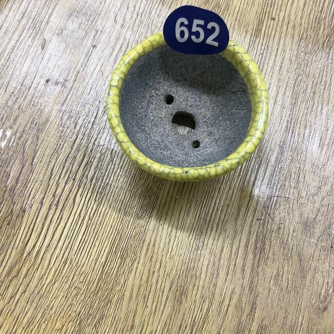 红陶20CM（含）-50CM（不含）l****g652