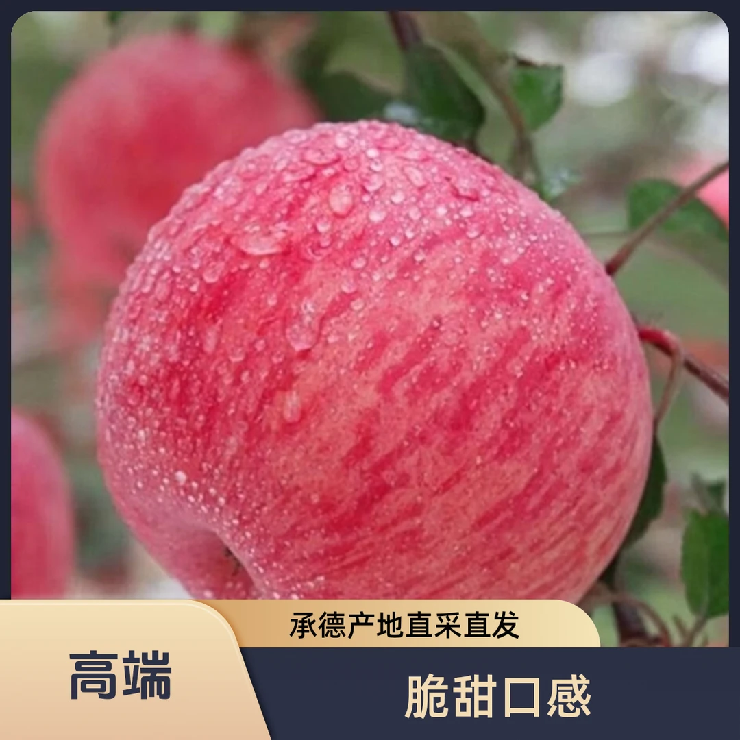 河北宽城苹果 脆甜红富士 当季时令水果 散装 承德产地直采直发
