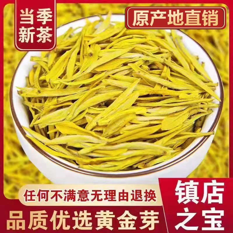 【新茶黄金芽】今年春茶原产地高山绿茶高豆香耐泡型袋装礼盒装回甘