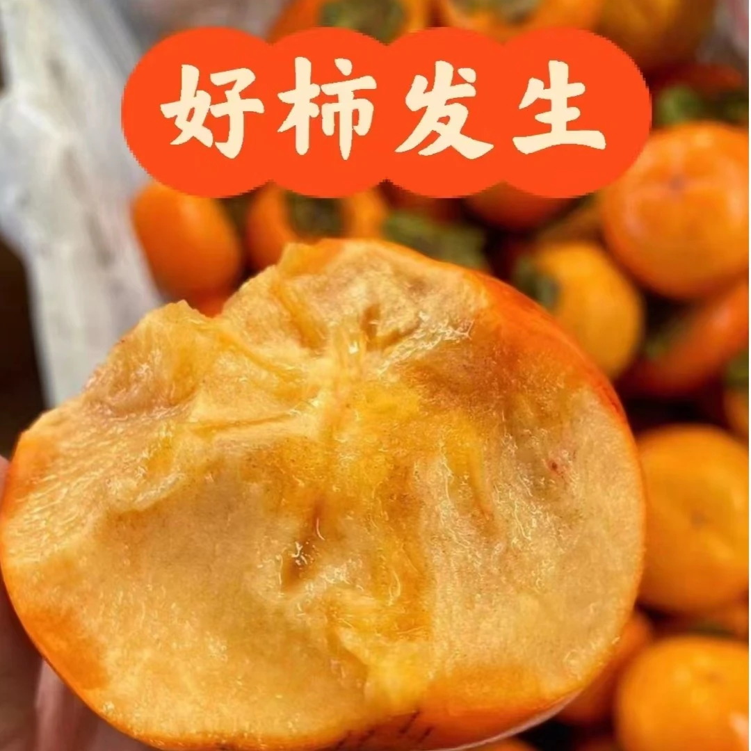 【市场直发】巧克力脆柿3斤