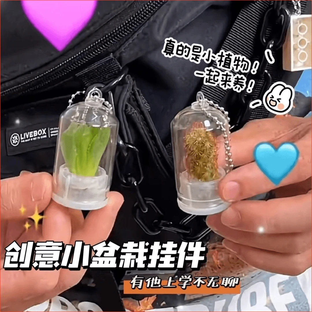 新款创意迷你多肉植物盘栽挂件挂饰微缩景观情侣闺蜜学生礼物S767