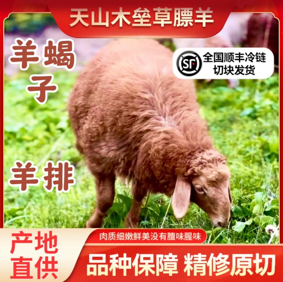 新疆草原哈萨克羊羔肉牧场空运鲜嫩肉质