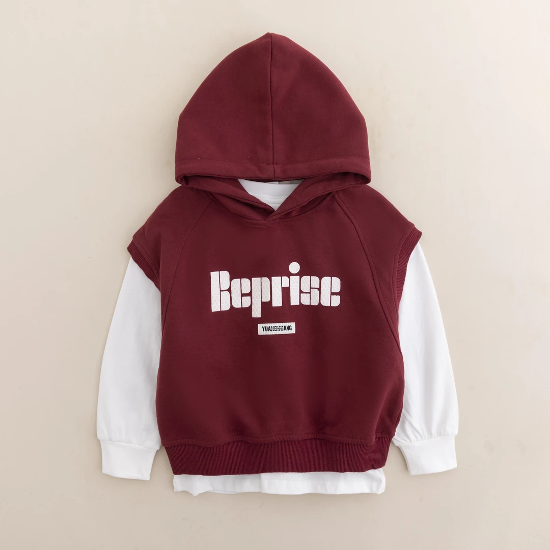 儿童套装2024秋装新款男童春秋连帽马甲+卫衣两件套BQ242华子童装