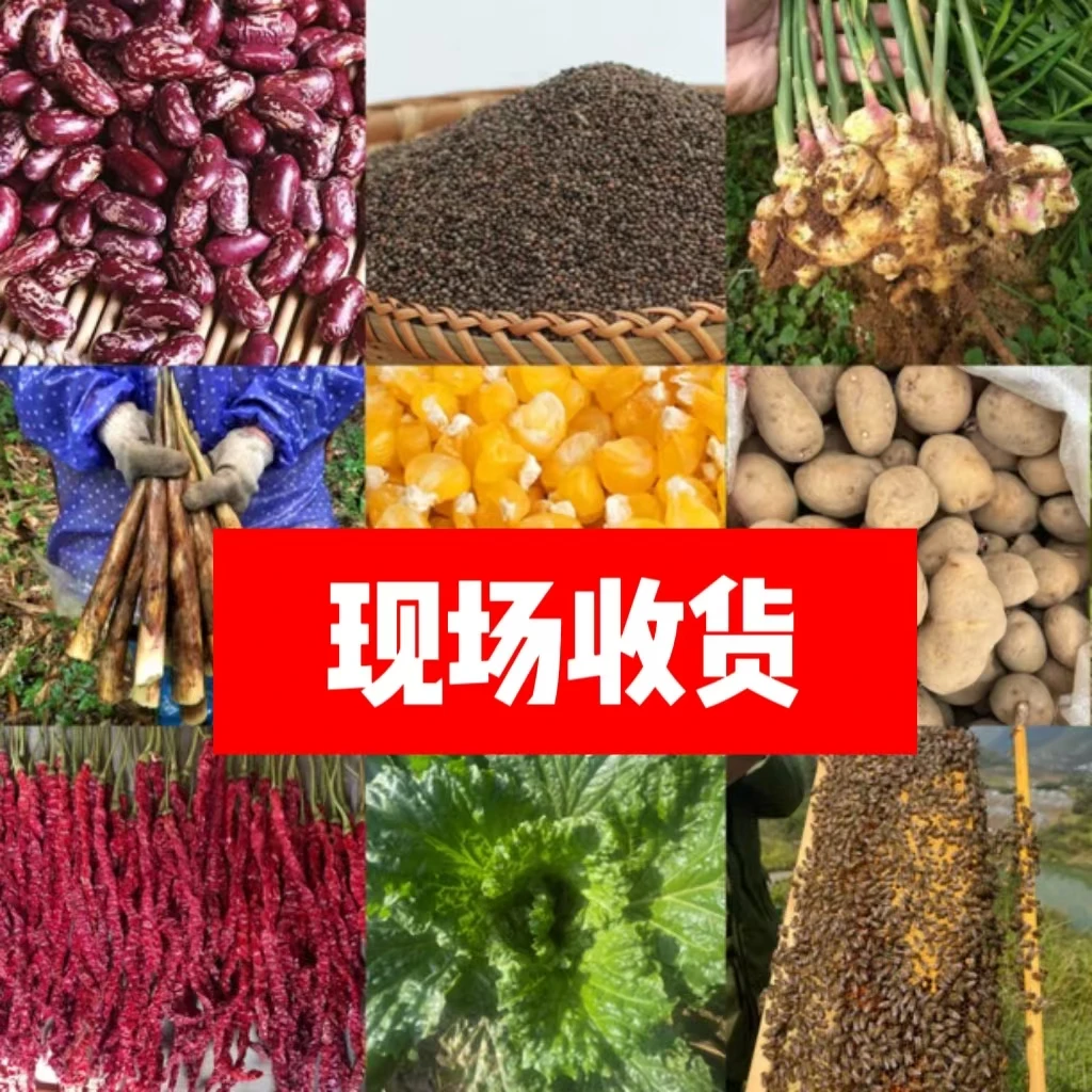 【农人老三】贵州农产品现称现卖农家自种食用山货1—20斤