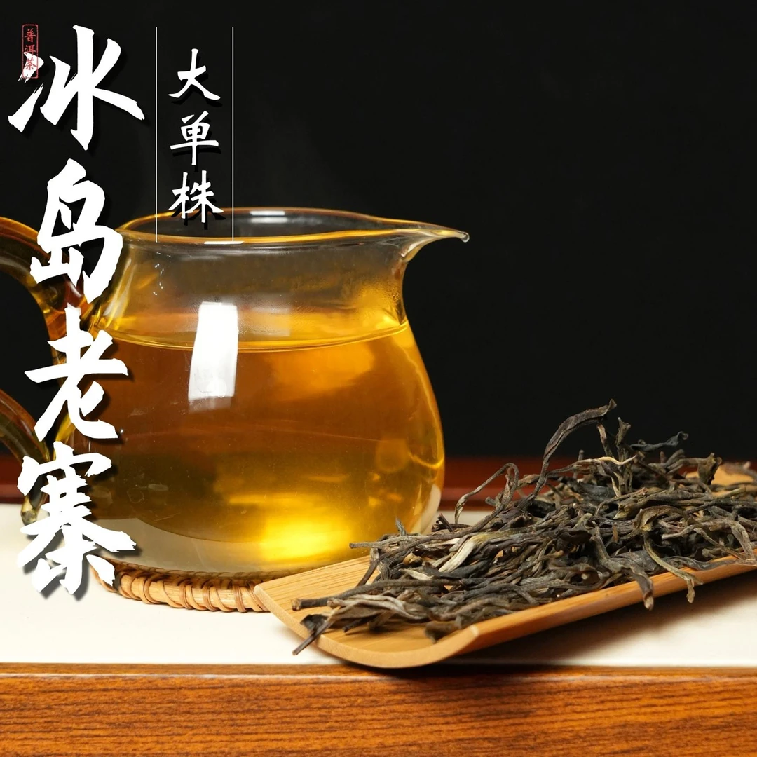 2019年 冰岛老寨 400年树龄单株 头春头采 古树纯料 普洱生茶