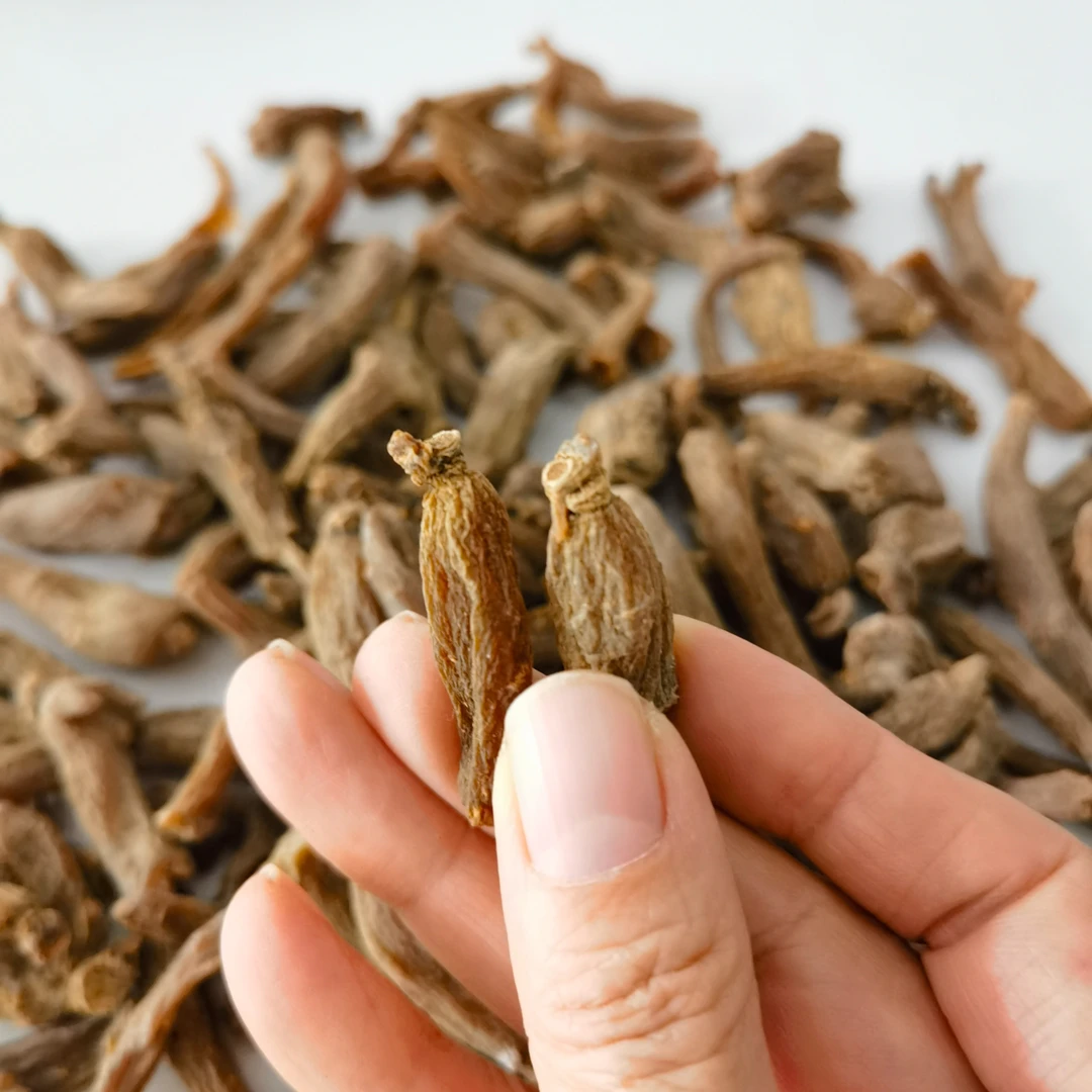 长白山人参纯无糖红参棒个小泡酒煲汤泡茶一件250克包邮干燥保存