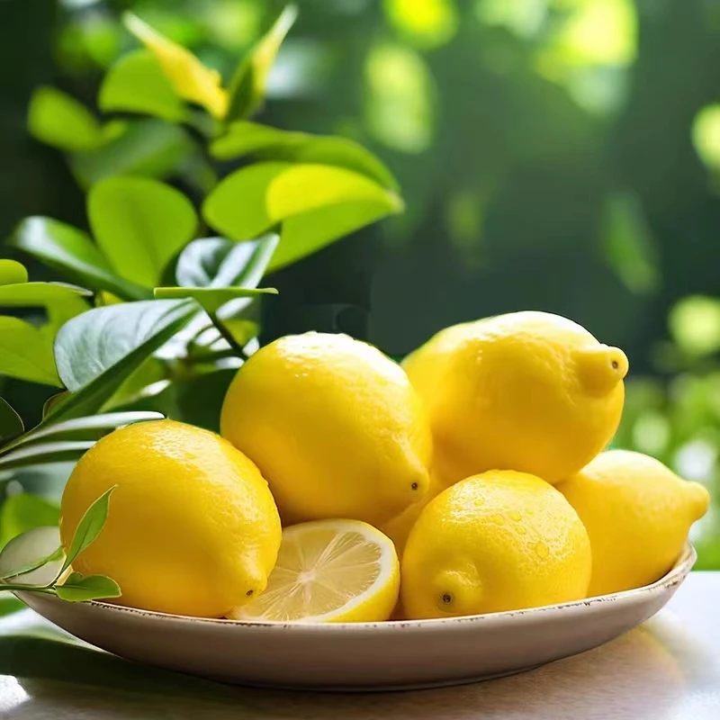 安岳黄柠檬8个新鲜多汁皮薄香水水果泡茶泡水果园采摘