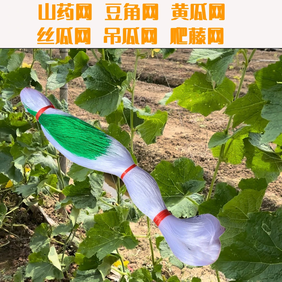 豆角黄瓜苦瓜丝瓜吊瓜豌豆百香果瓜网植物爬藤网种植网攀爬农用