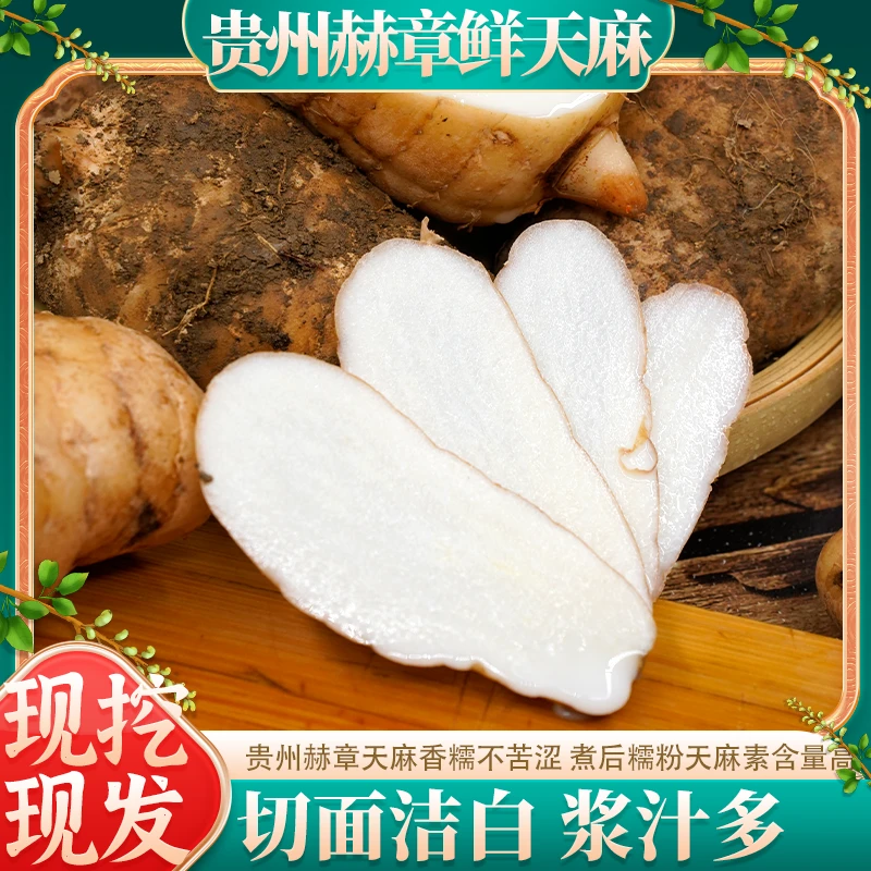 贵州赫章新鲜天麻香糯不苦涩产地直供现挖现发包邮