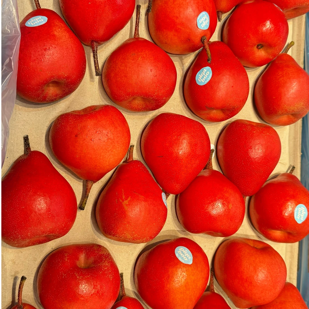 【鲜果】天使梨500g