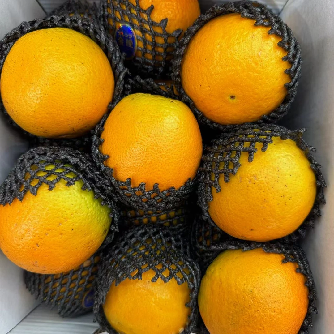 【鲜果】金晚橙500g