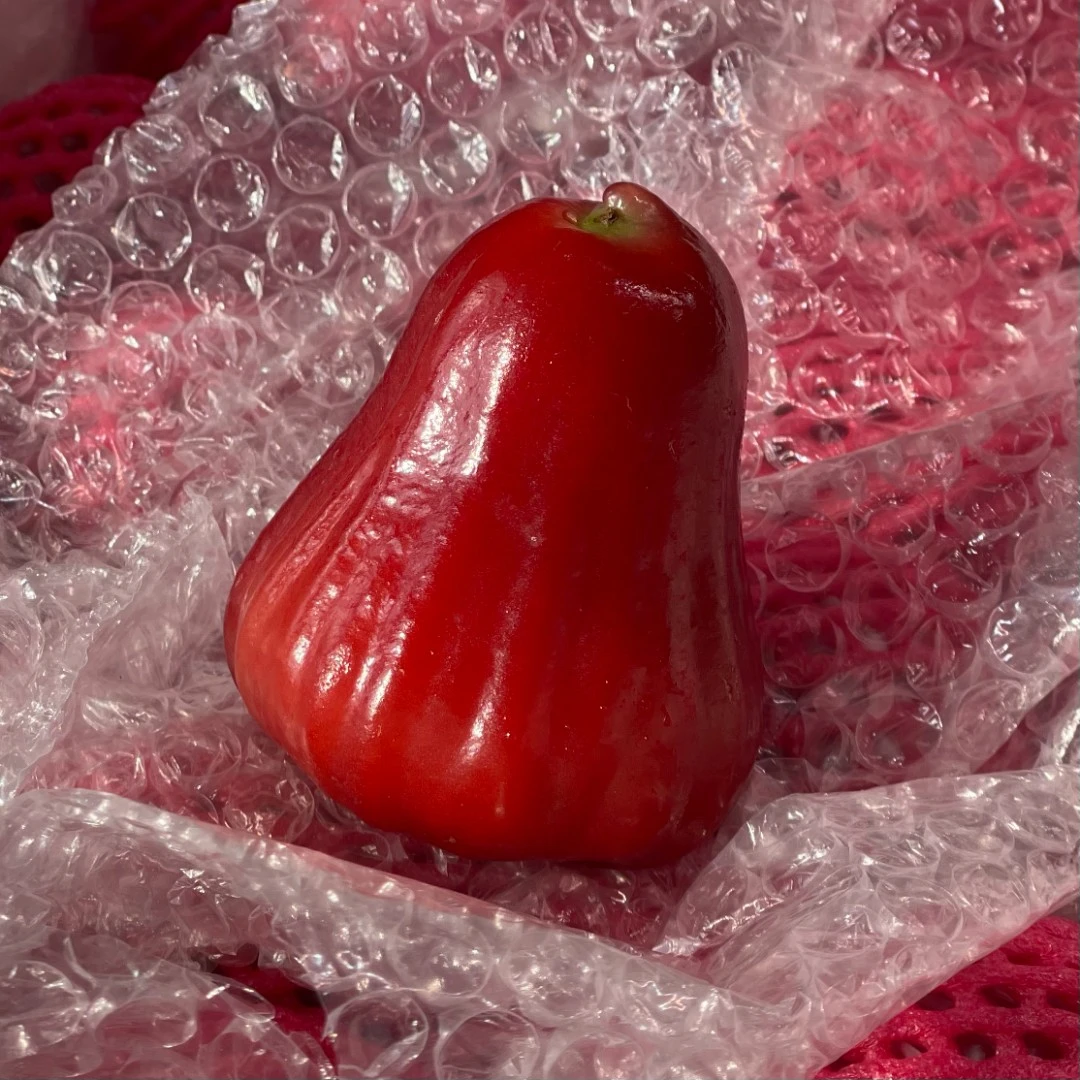 果切【鲜果切】莲雾（切盒）1盒装