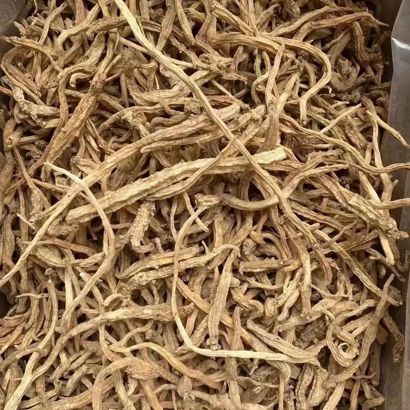 太阳哥哥云南野党参