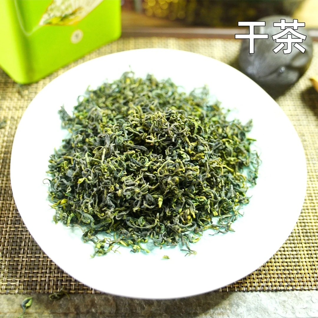 【露天茶2024】露天春茶新茶清香型正宗日照绿茶清香型