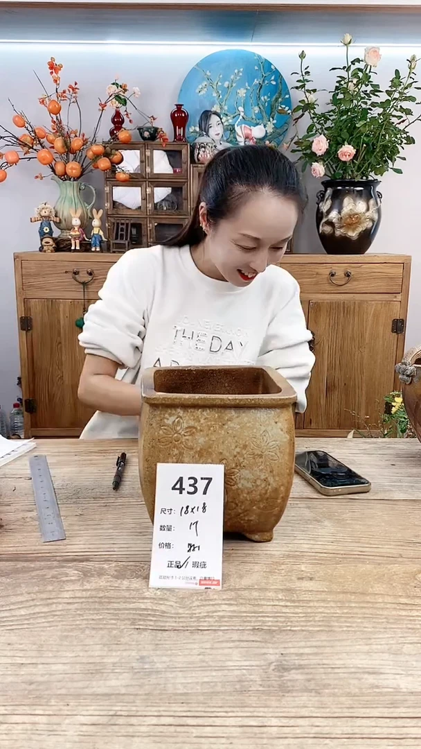 【闪购商品】红陶20CM以下437