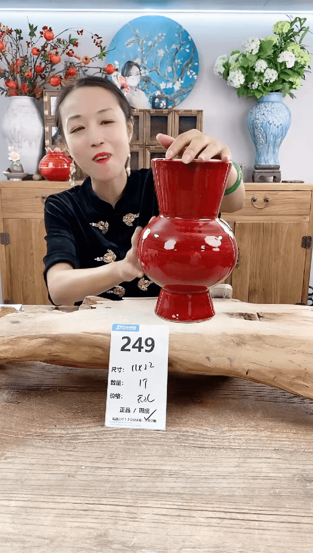 【闪购商品】陶瓷20CM以下249