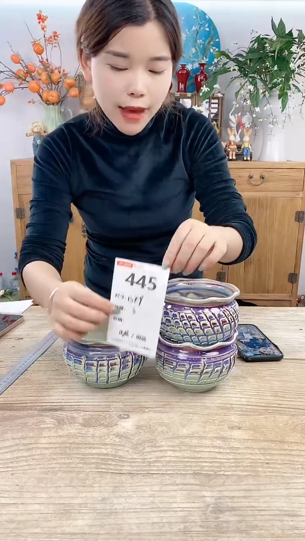 【闪购商品】红陶20CM以下445