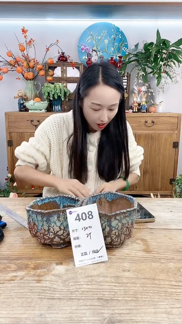 【闪购商品】红陶20CM以下408