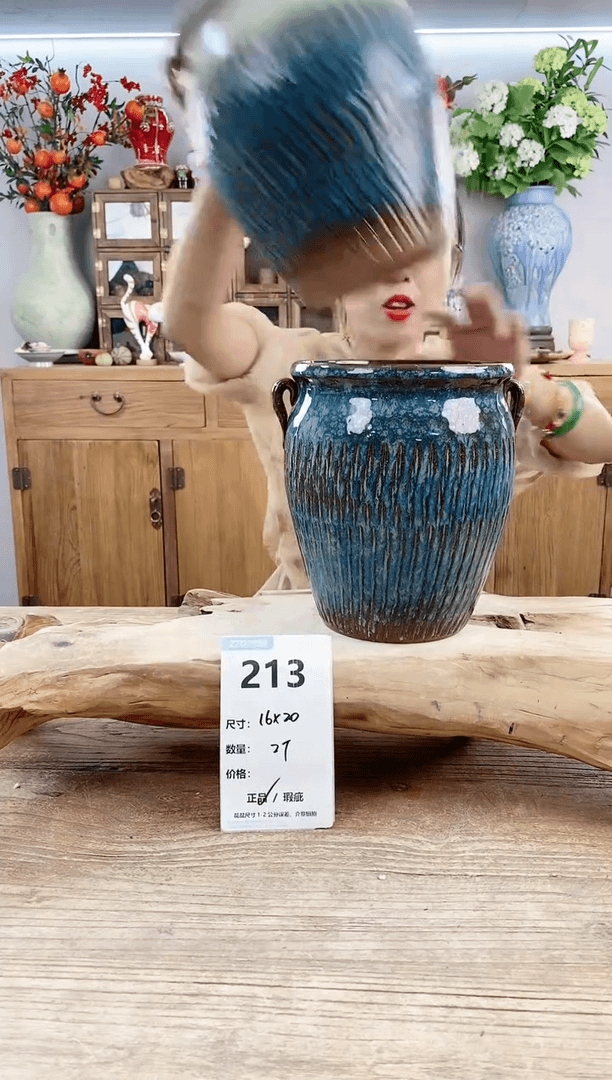 【闪购商品】陶瓷20CM以下213