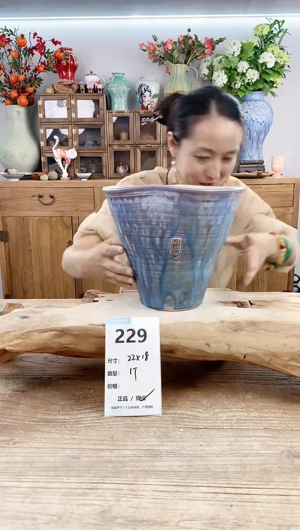 【闪购商品】陶瓷20CM以下229