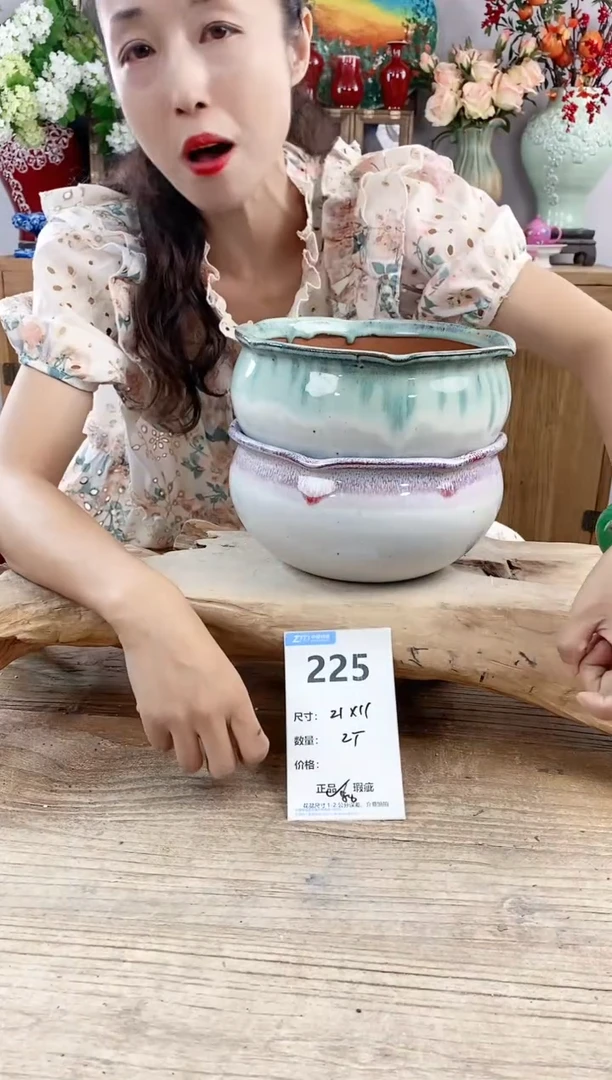 【闪购商品】红陶20CM以下225