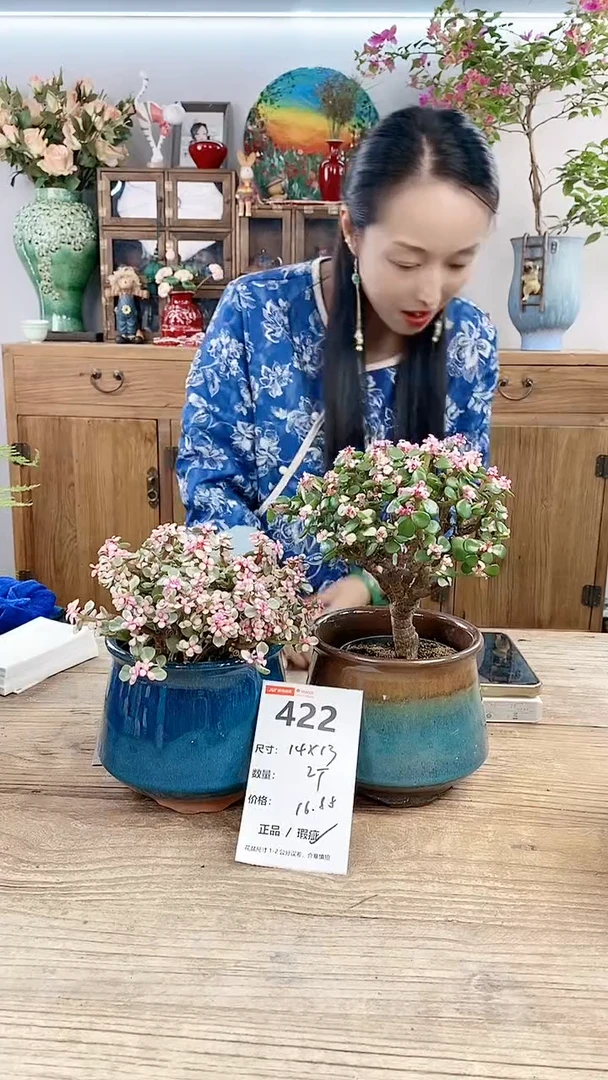 【闪购商品】红陶20CM以下422