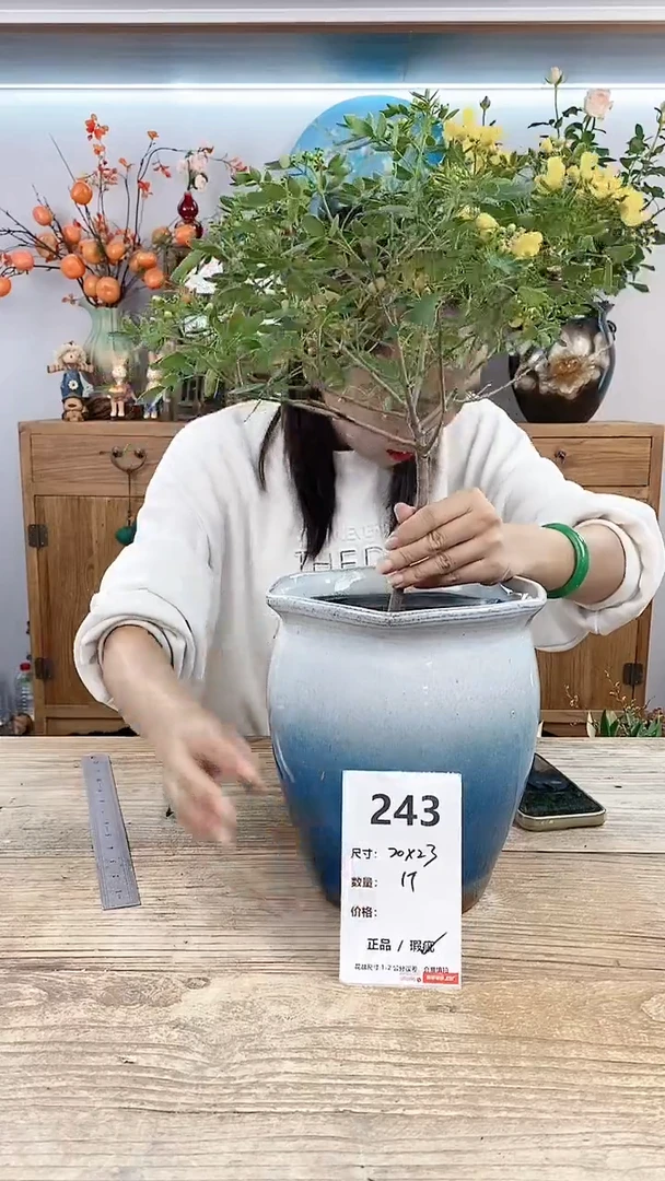 【闪购商品】红陶20CM以下243