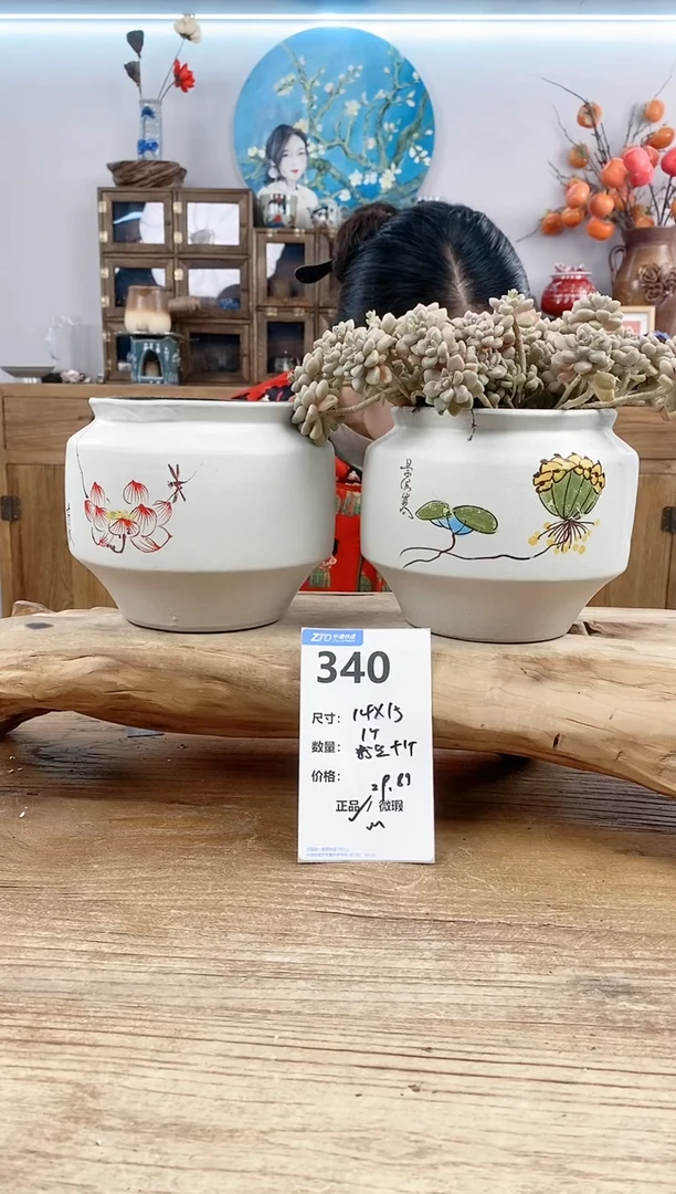 【闪购商品】红陶15cm以下340