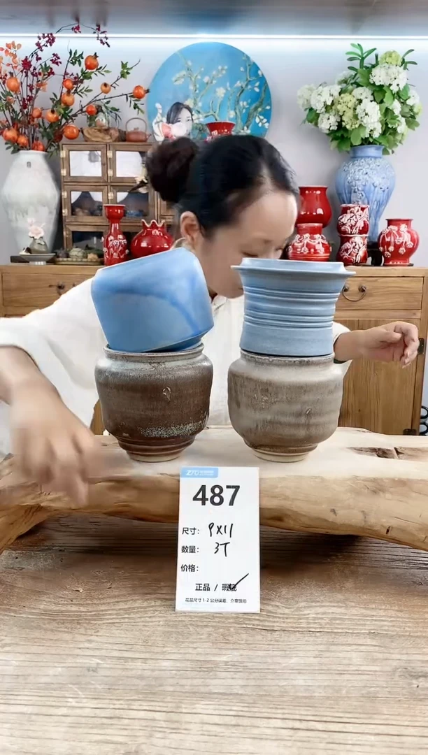 【闪购商品】陶瓷20CM以下487