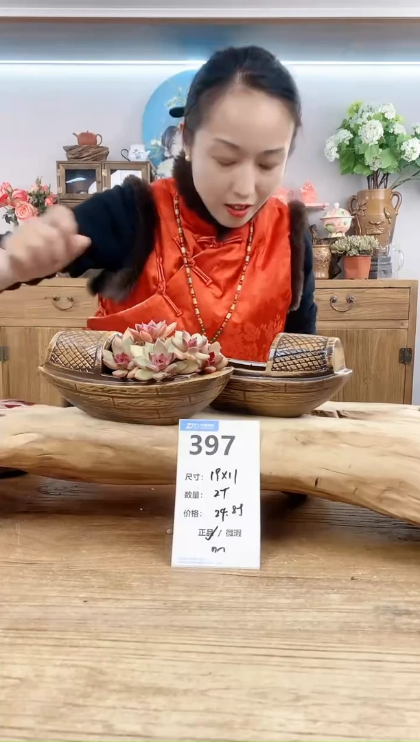 【闪购商品】红陶15cm以下397