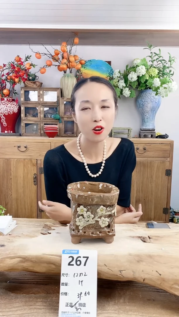 【闪购商品】陶瓷20CM（含）-50CM（不含）267