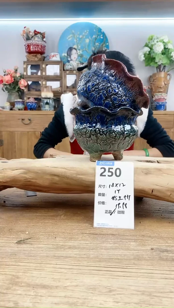 【闪购商品】陶瓷15cm以下250