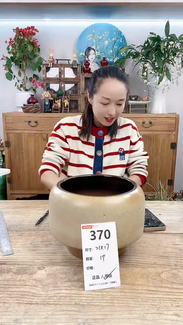 【闪购商品】红陶20CM以下370