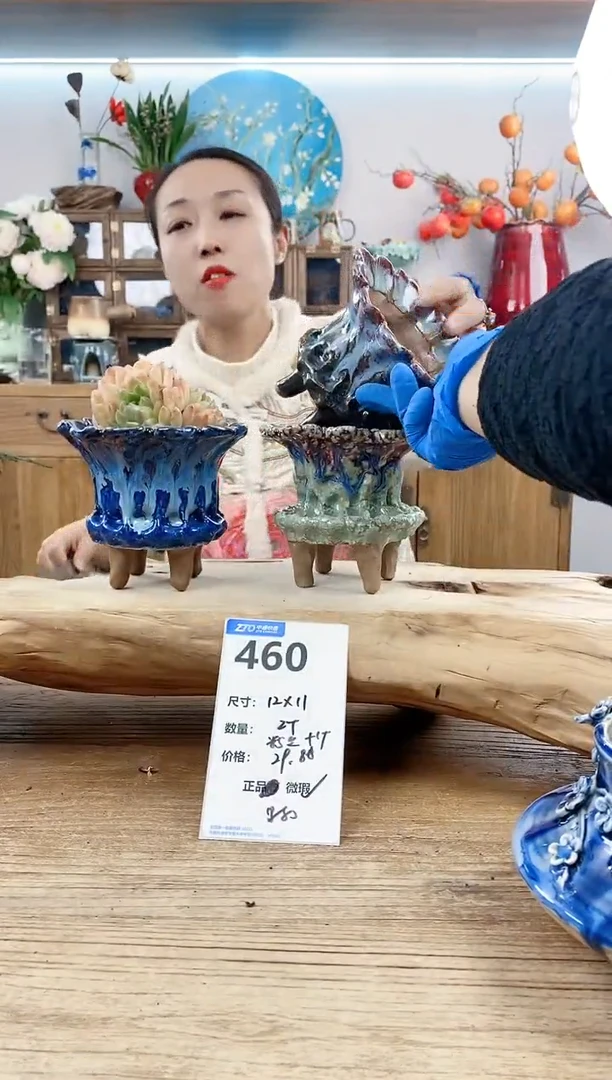 【闪购商品】红陶15cm以下460