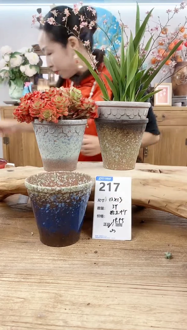 【闪购商品】红陶15cm以下217