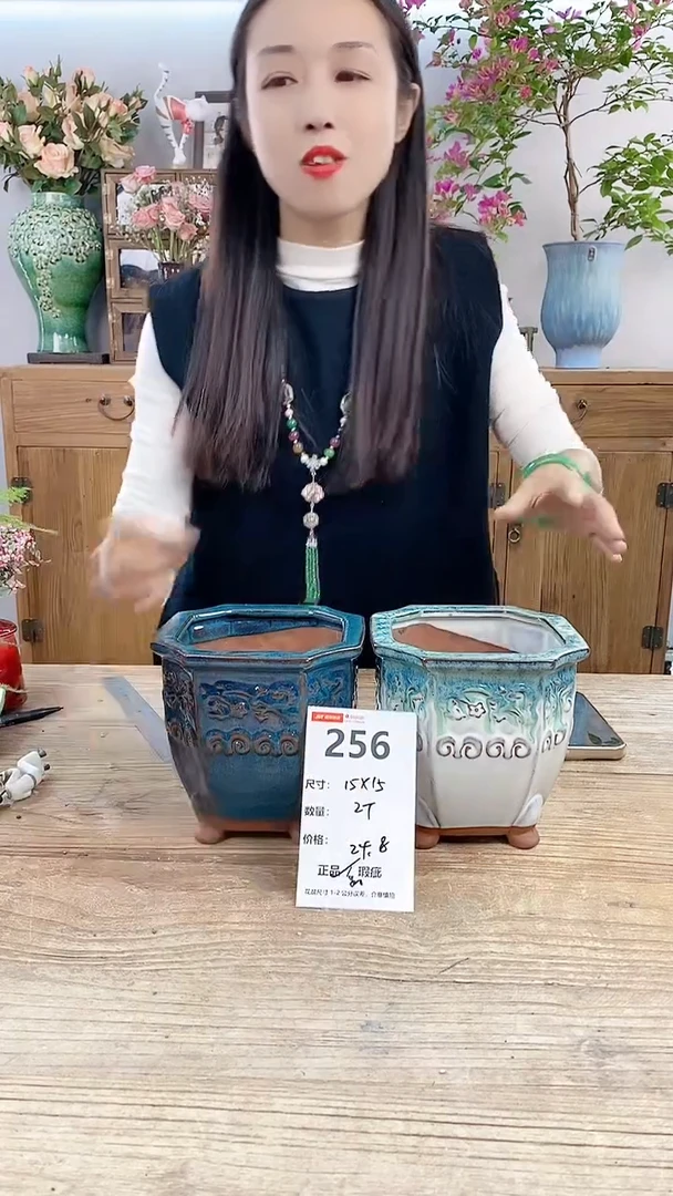 【闪购商品】红陶20CM以下256