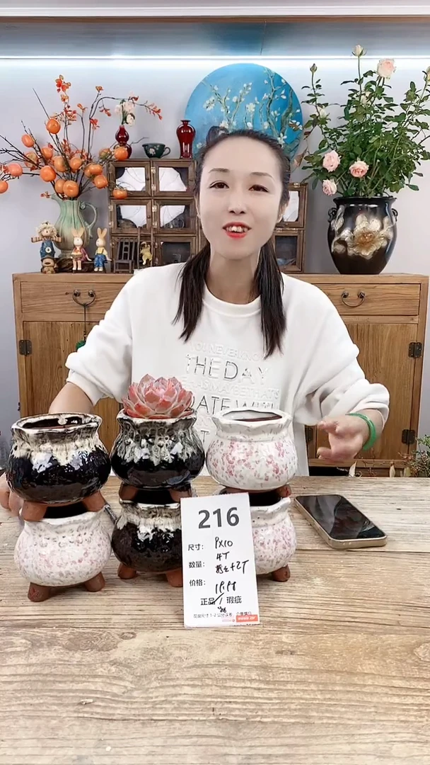 【闪购商品】红陶20CM以下216