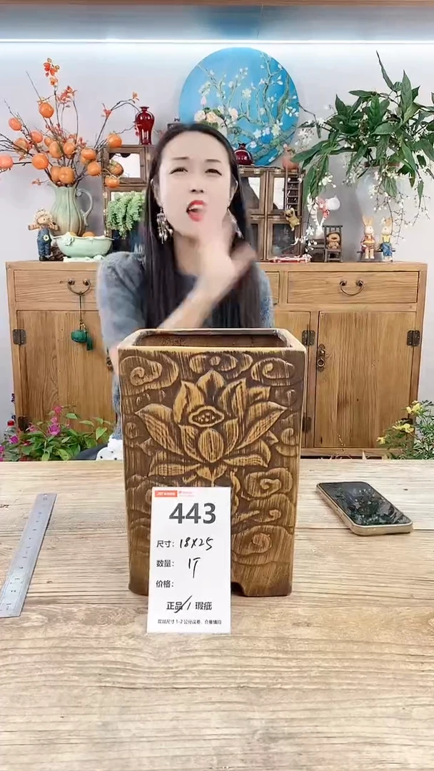 【闪购商品】红陶20CM以下443