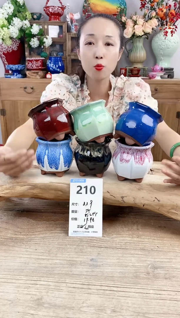 【闪购商品】红陶20CM以下210