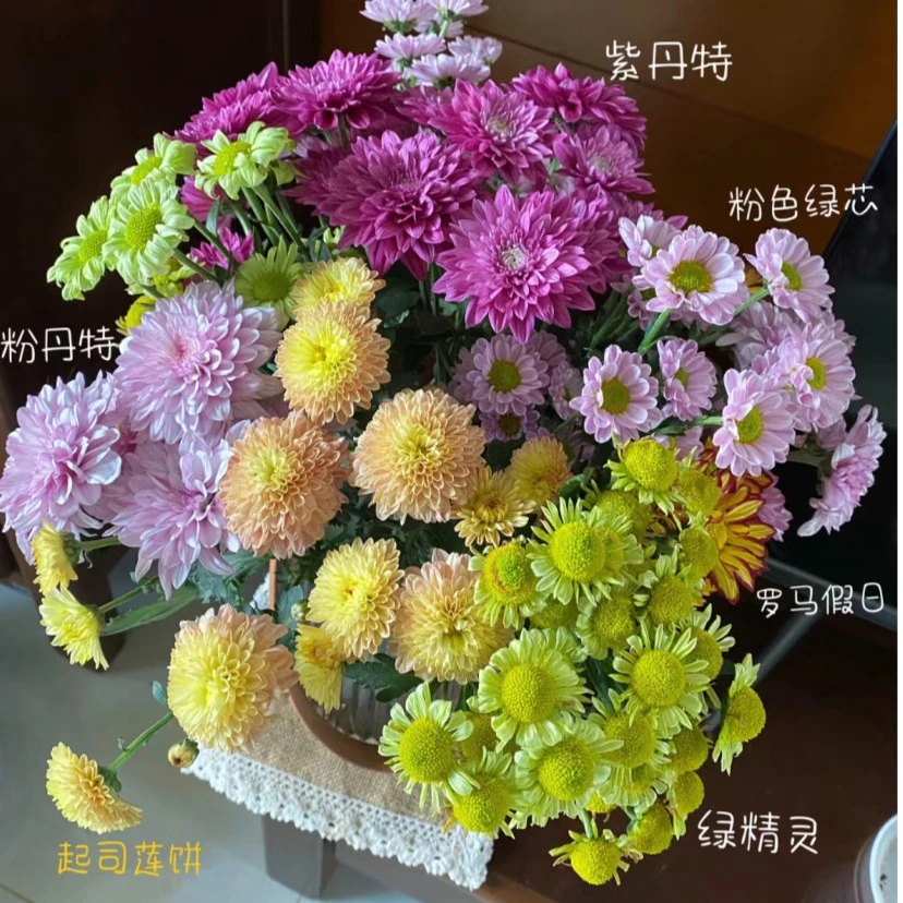 （小雏菊混色）鲜切水培花东北鲜花基地顺丰包邮浪漫办公室优质