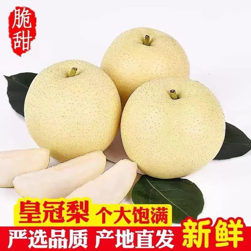 皇冠梨3斤新鲜水果梨子整箱梨皮薄爆汁3斤